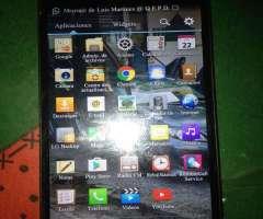 Lg L80