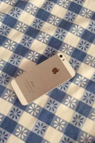 iPhone 5S iPhone 5S