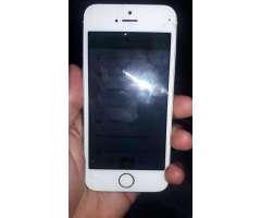 iPhone 5C